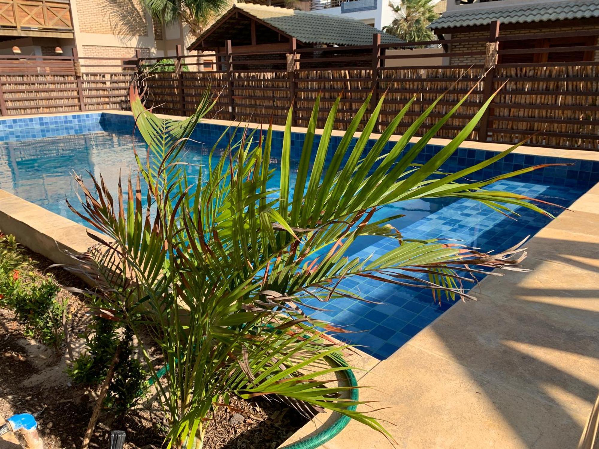 Beach House - Suite 1 - Na Praia - Beachfront Barra Grande  Buitenkant foto